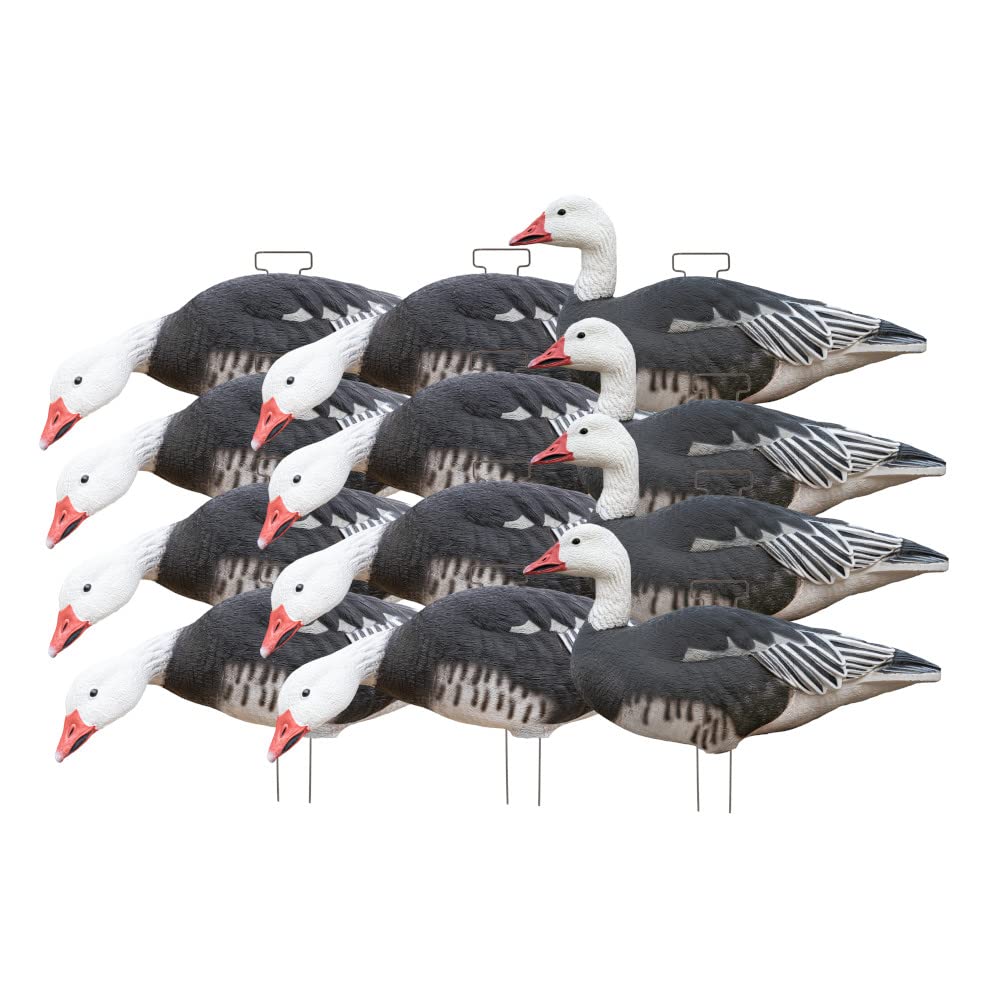 BandedAvery Outdoors Greenhead Gear GHG PRO Grade Blue Goose Silhouette DECOYS