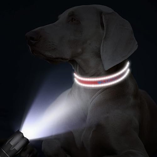 Miniatura 4 de TagME Collar de perro personalizado con nombre, collares bordados personalizados con nombre de mascota y número de teléfono para perros medianos,