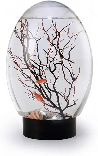 Mini Aquarium de Bureau Auto-entretenu - Écosystème Biosphère Noir