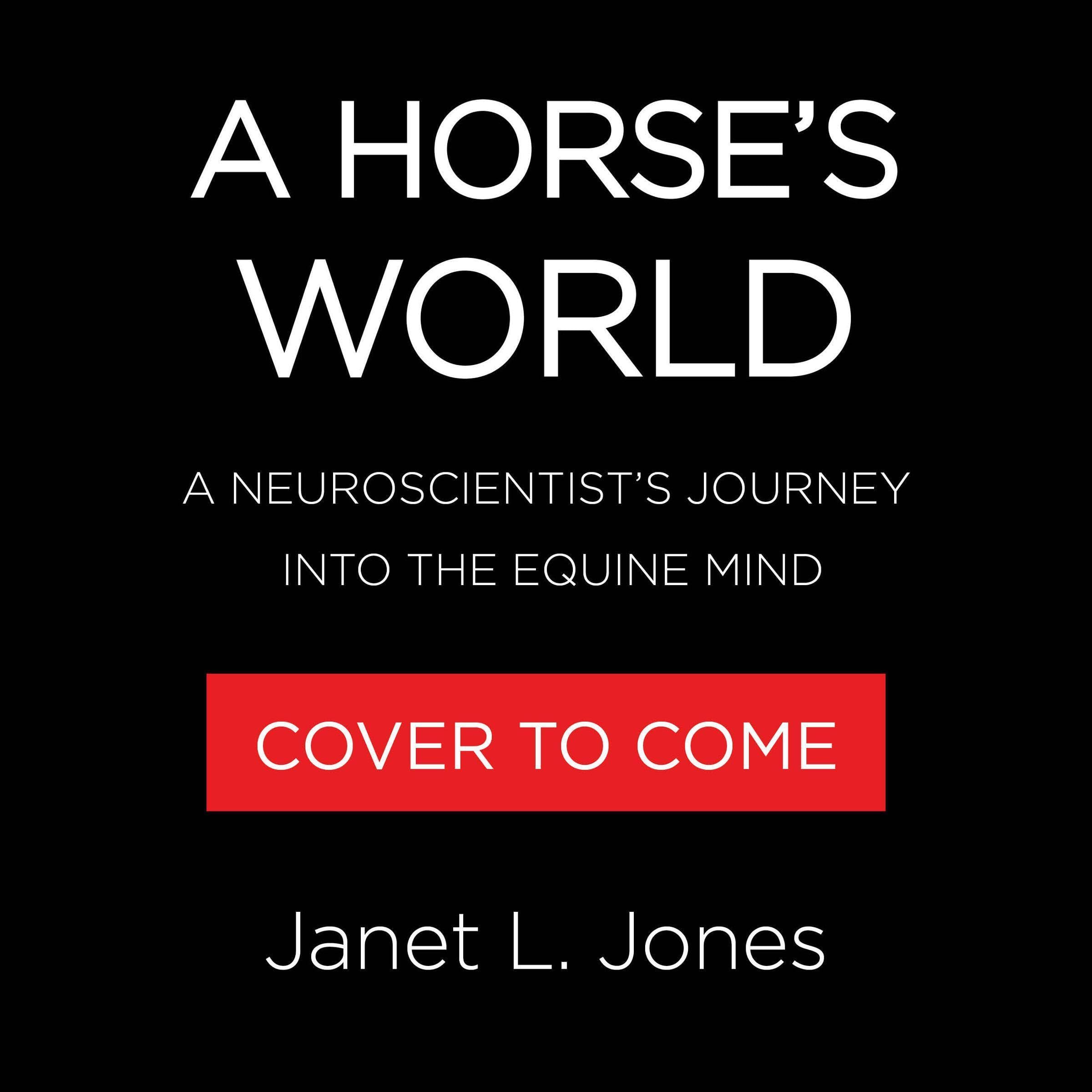 A Horse's World