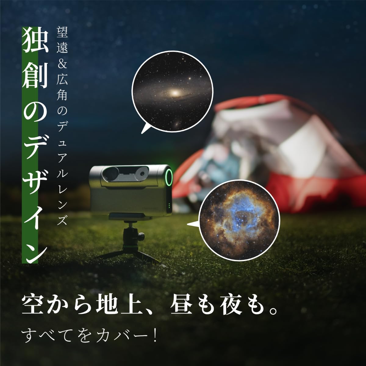 「すー」P.Redleyi Dwarfリドレイドワーフ3株セット すー様専用」P.Redleyi Dwarfリドレイドワーフ3株セット