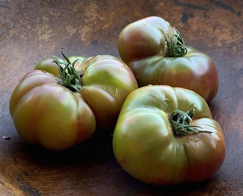 Buy4seeds 20x Ananas Noire (Black Pineapple) Tomato Seed Easy to Grow Your Own Tomato
