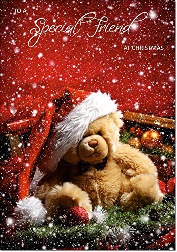 Doodlecards Special Friend Christmas Card - Medium Size