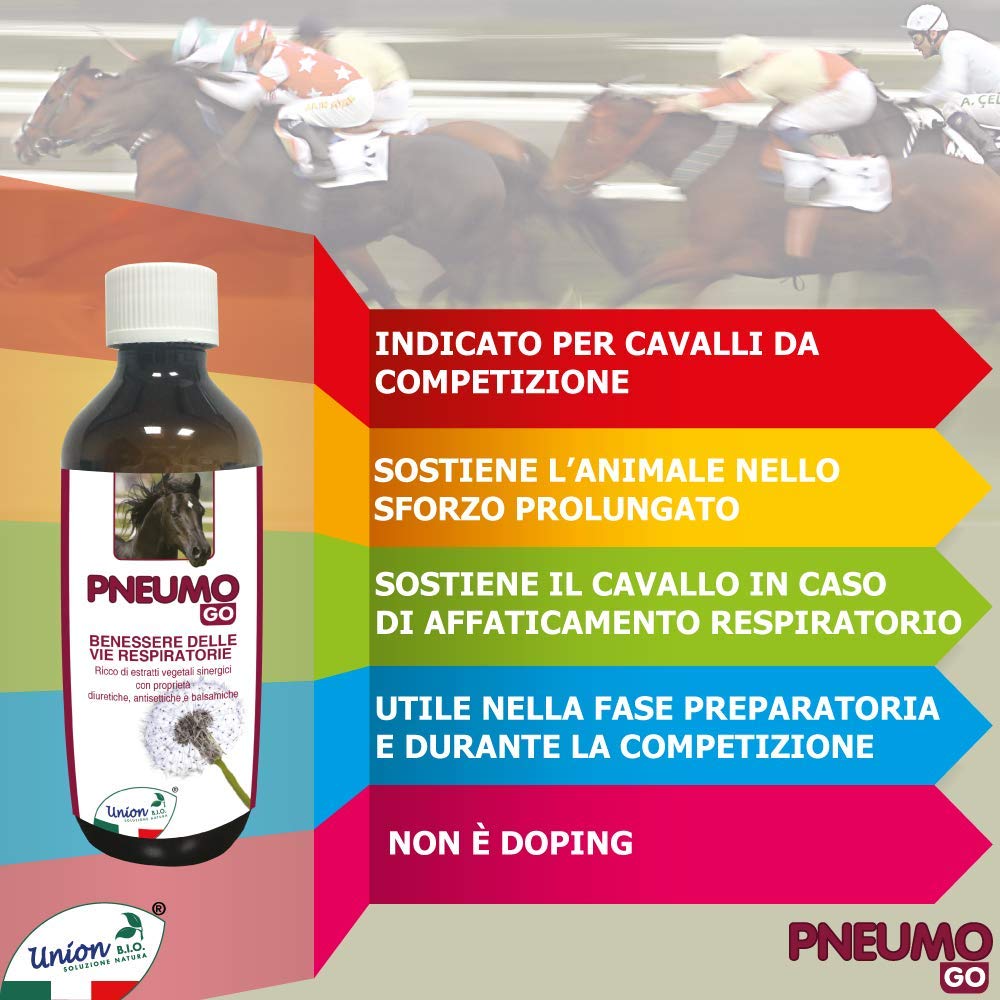 Union Bio® Pneumo Go 200 ML - Drenante Fluidificante Muco Per Cavallo, Mangime Completare Naturale Ricco Di Estratti Vegetali Sinergici Con Proprietà Naturali Balsamiche, Antisettiche E Diuretiche