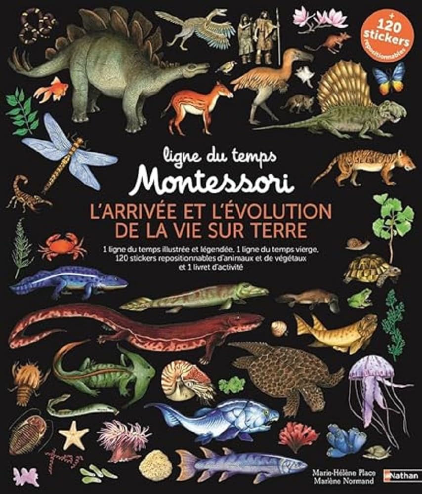 Ligne du temps Montessori - L'arrivée et l'évolution de la vie sur Terre - 2 grandes frises Montessori de 2,​5 mètres + stickers repositionnables