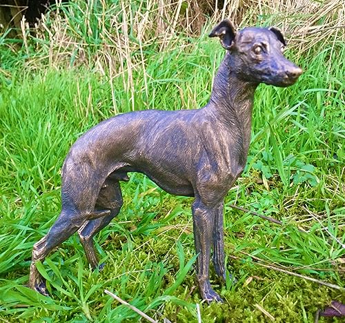 Greyhound Dog Ornament Statue Bronze Bronze Effect Finish, Height 21cm Width 6cm. Length 22cm