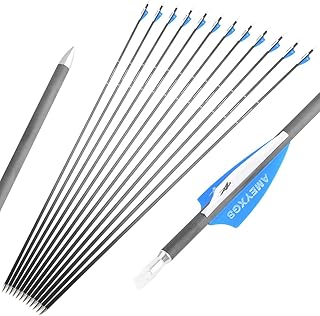 ZSHJGJR 31 Inch Archery Pure Carbon Arrow Hunting Arrows Spine 500 600 900 with TPU Vanes Targeting Practice Arrows for Compound & Recurve & Long Bow 6/12pcs (Spine 500, 12pcs)