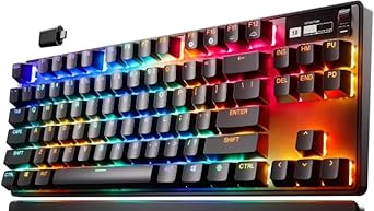 【良品】SteelSeries Apex Pro TKL Apex Pro TKL! The Most PREMIUM Gaming Keyboard! (Full Review