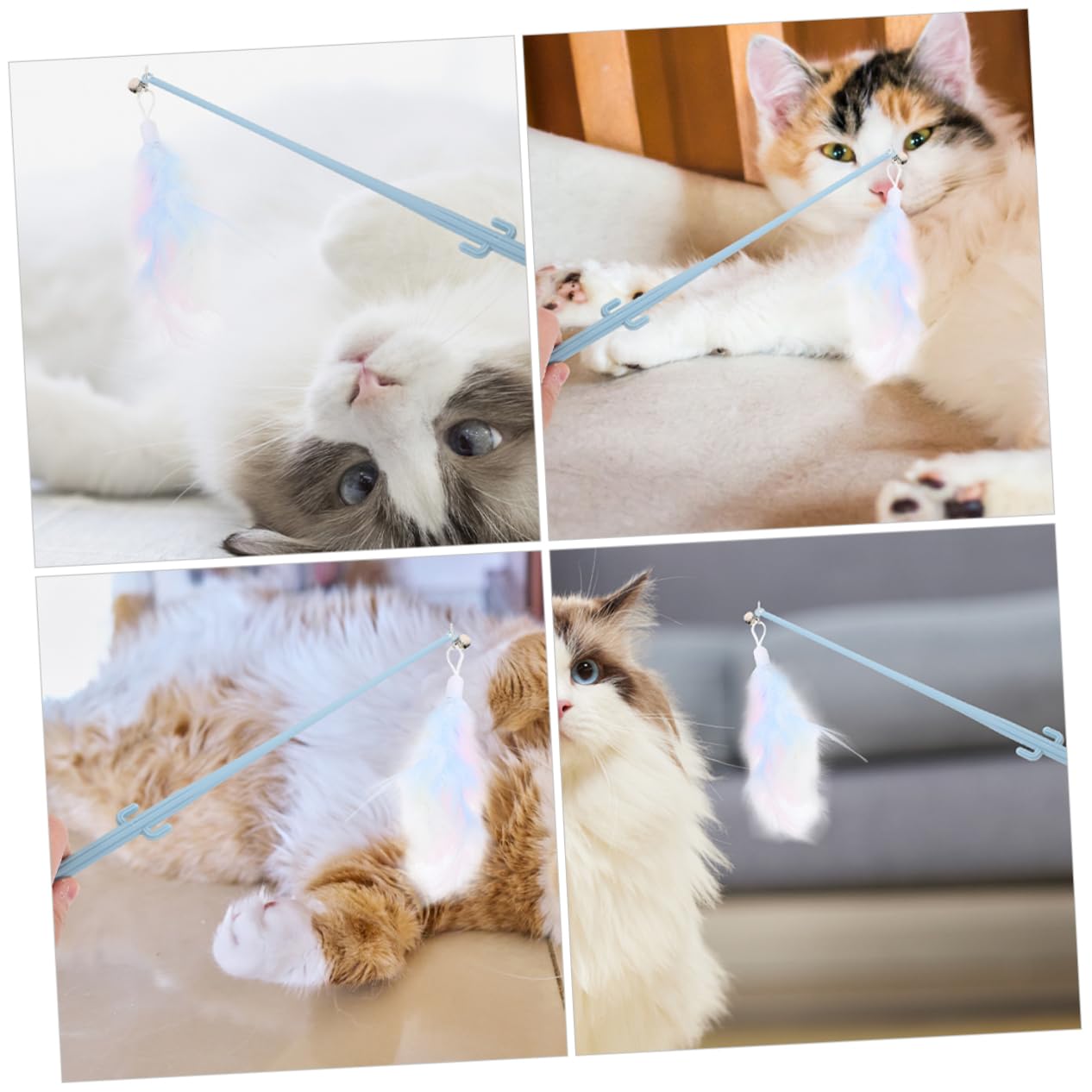 Toddmomy 20pièces Jouet Interactif pour Chat avec Plume Et Jouet à Teaser Amusant pour Chatons Accessoire Enrichissement Fait Et Plume Renforcez Le Lien avec Votre Félin