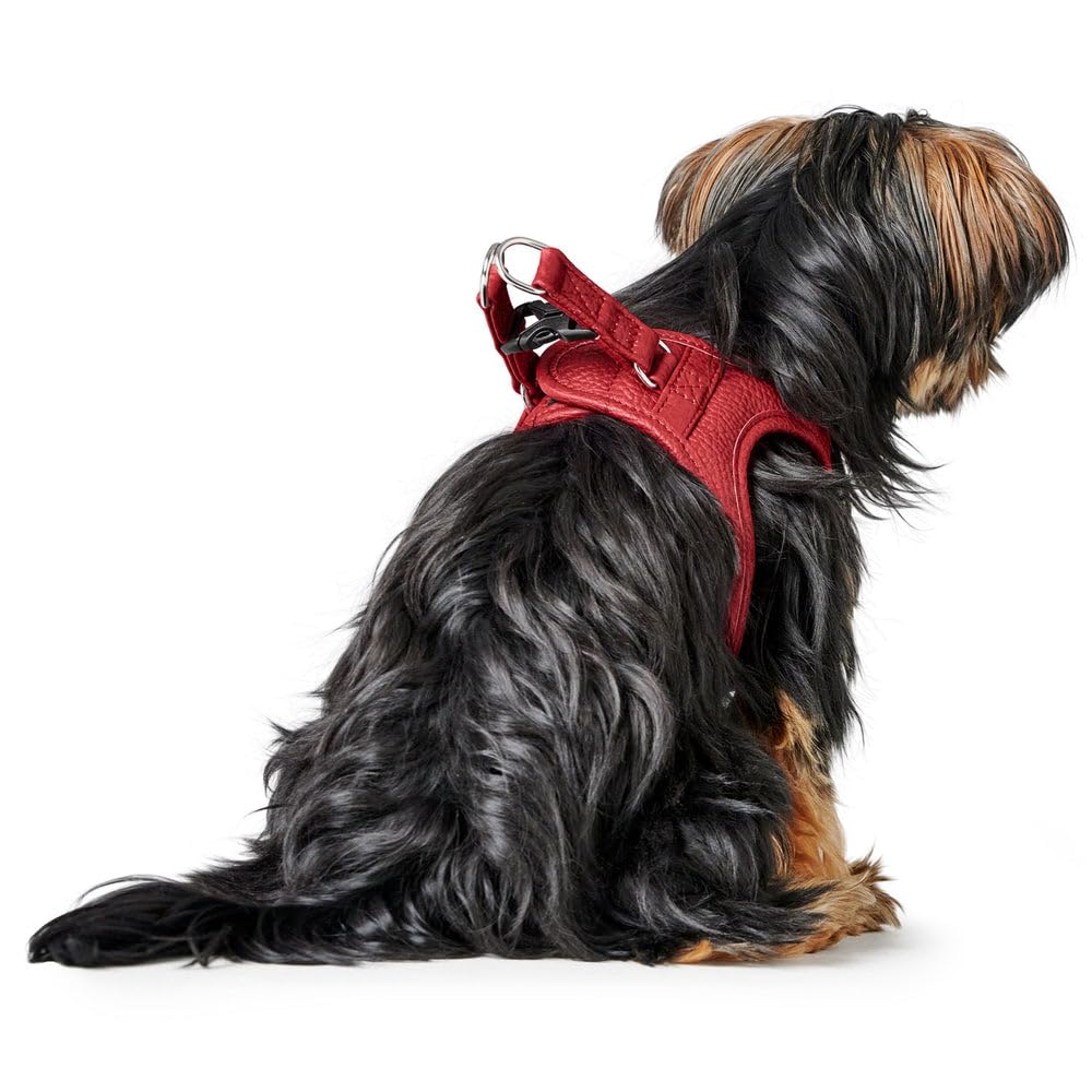 Hunter Hundegeschirr Love, Farbe: rot, weiches Rindsleder, atmungsaktive Mesh-Polsterung, Herz handgenäht, hoher Komfort, Made in Germany, Größe: XS