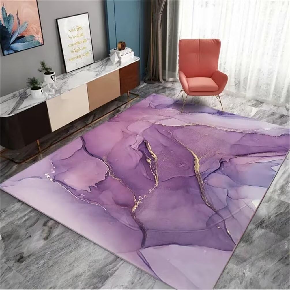 Tapis de salon lavable et confortable fini les taches sur le tapis doux