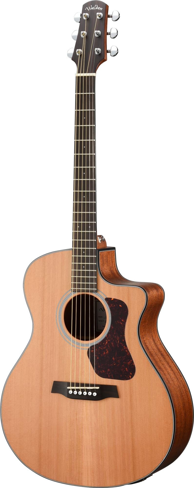 WALDEN Westerngitarre, WAG570CE, Grand Auditorium Cut, Decke massiv, Mattlack, EQ