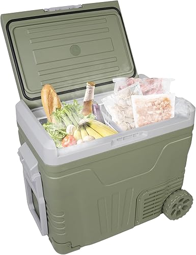 Refrigerador portátil de 12 V para automóvil, refrigerador de doble zona de 45.4 cuartos de galón, 100-240 V CA, -4 °F ~ 68 °F, enfriador de