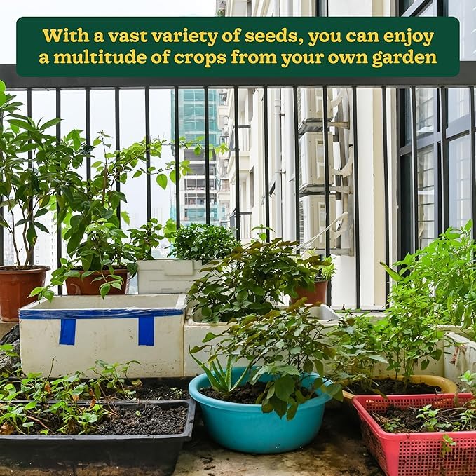Image of Devender Farm Indian Vegetable Seeds Collection, 40 Varieties, 2255 Seeds, Container Garden Kit