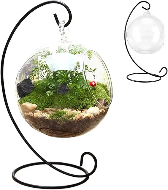 Hanging Air Plant Terrarium Kit with Black Iron Stand & Clear Glass