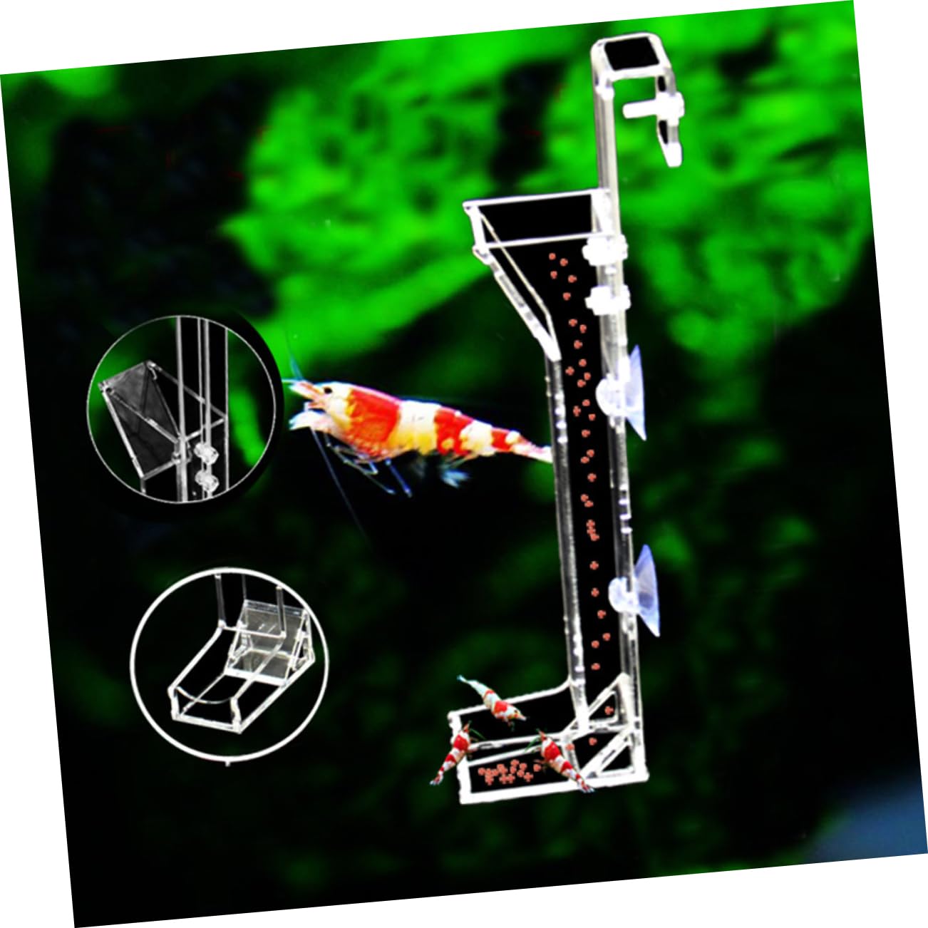 minkissy 3 Pièces Laisse Et Harnais De Tortue La Nourriture pour Poissons Tube d'alimentation en Acrylique pour Crevettes Chargeur De Crevettes d'alimentation Blanche Cristal