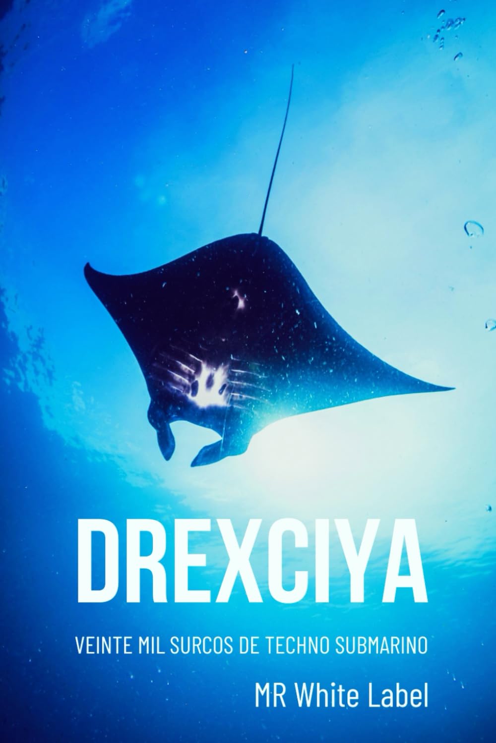 Drexciya: Veinte mil surcos de techno submarino: 1 (Iconos del techno)