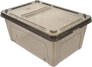 Tanque De Tartaruga: Plataforma De Vida De Tartaruga Tanque De Tartaruga Plataforma Basking Aquário Habitat De Tartaruga Tanque De Tartaruga Filtro Recipiente De Plástico Para