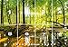 murimage Papel Pintado Bosque 366 x 254 cm Incluyendo Pegamento Fotomurales Vista...