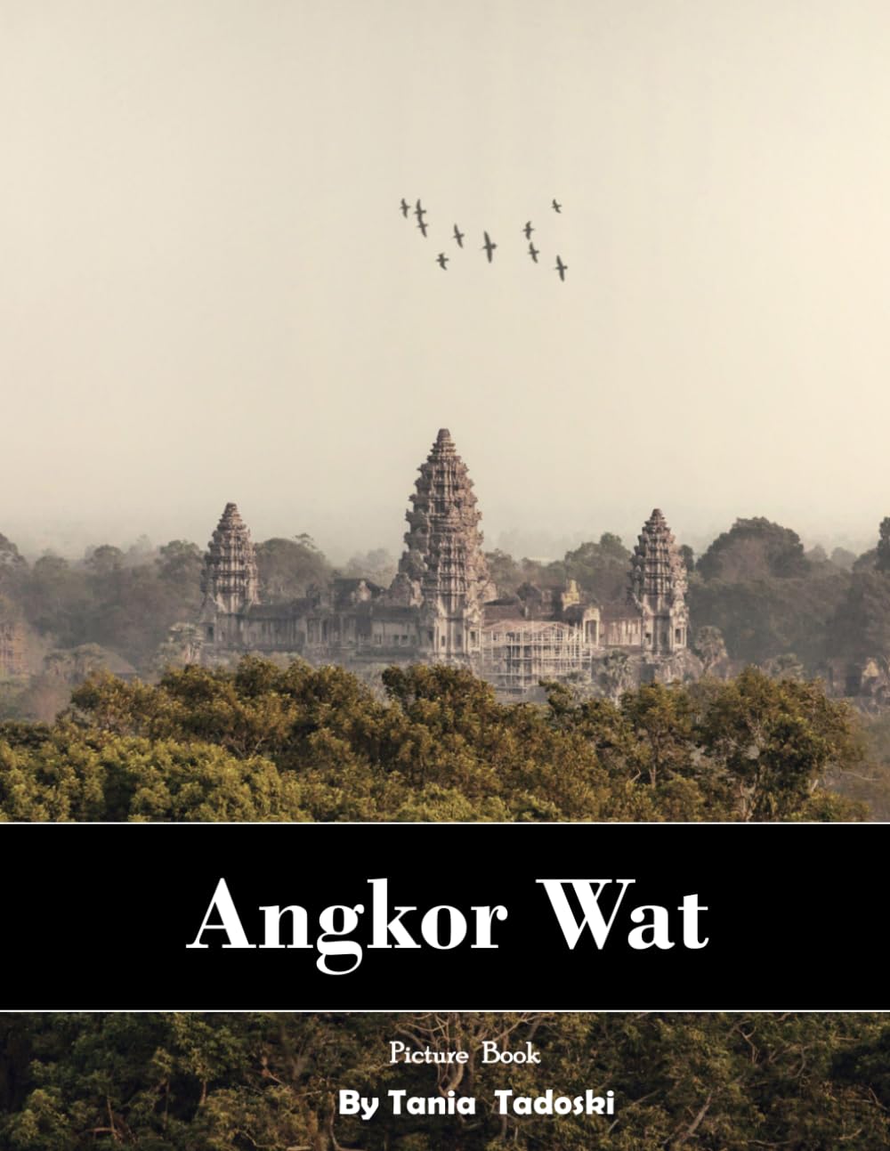Angkor Wat: Angkor Wat: Ancient Temple, Jungle Ruins, Sunrise Silhouettes, Cambodia and More