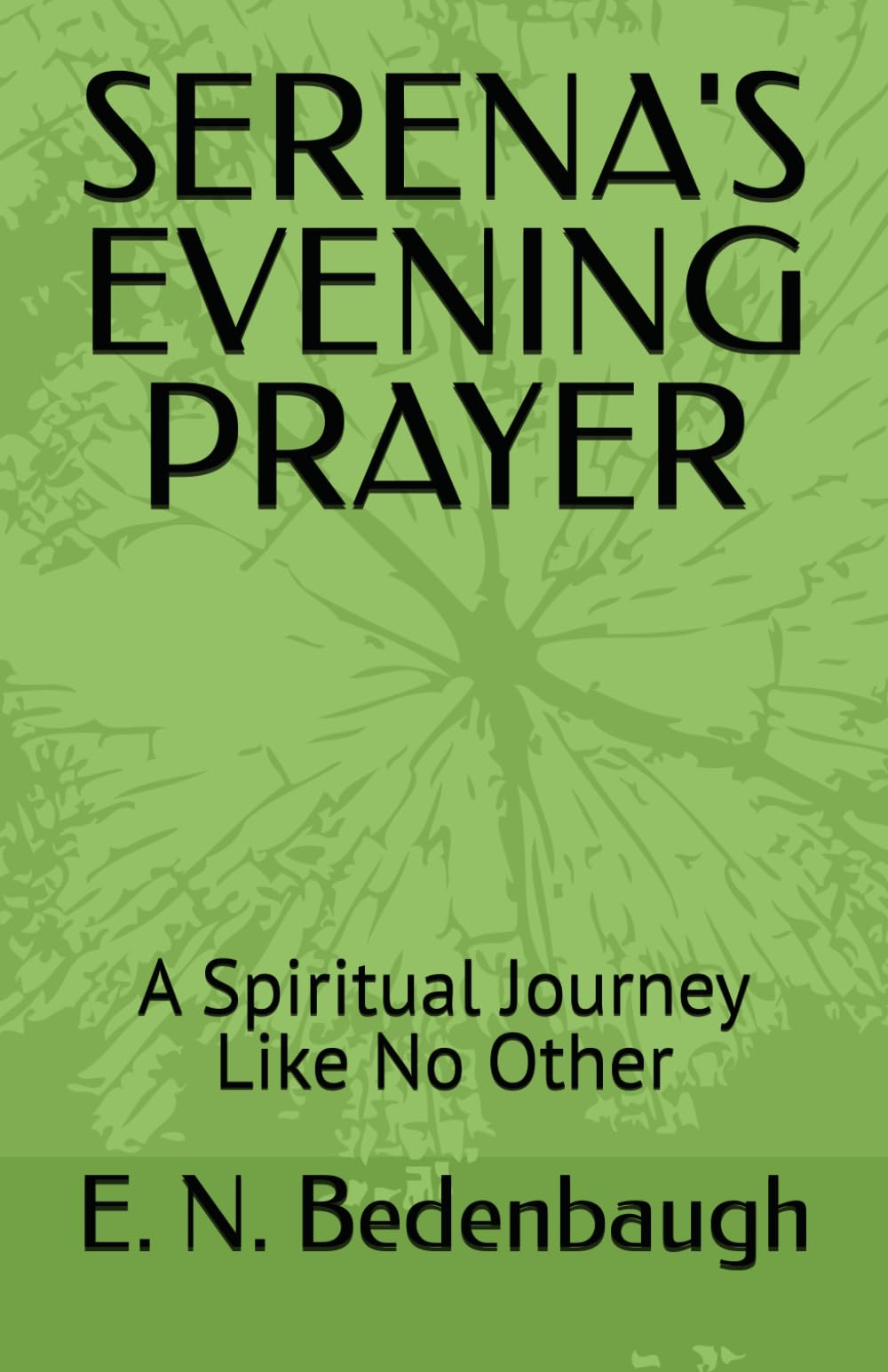 SERENA'S EVENING PRAYER: A Spiritual Journey Like No Other: 1 (TIME'S EMBRACE)