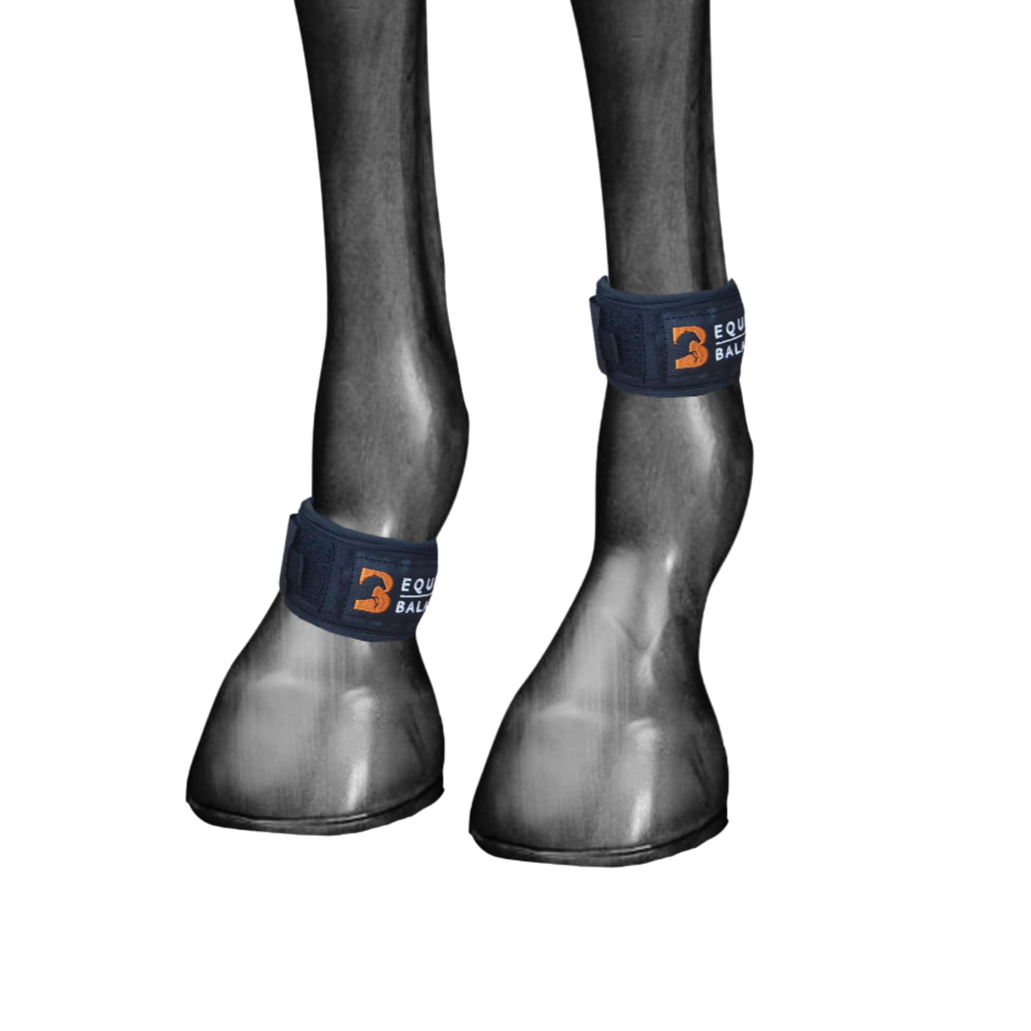 Magnetische Beinbänder für Pferde Equine Balance Magnettherapie Pastern Wraps für Pferde und Ponys Neodym-Magnete für Huf, Fessel, Knie und Sprunggelenk (breit)