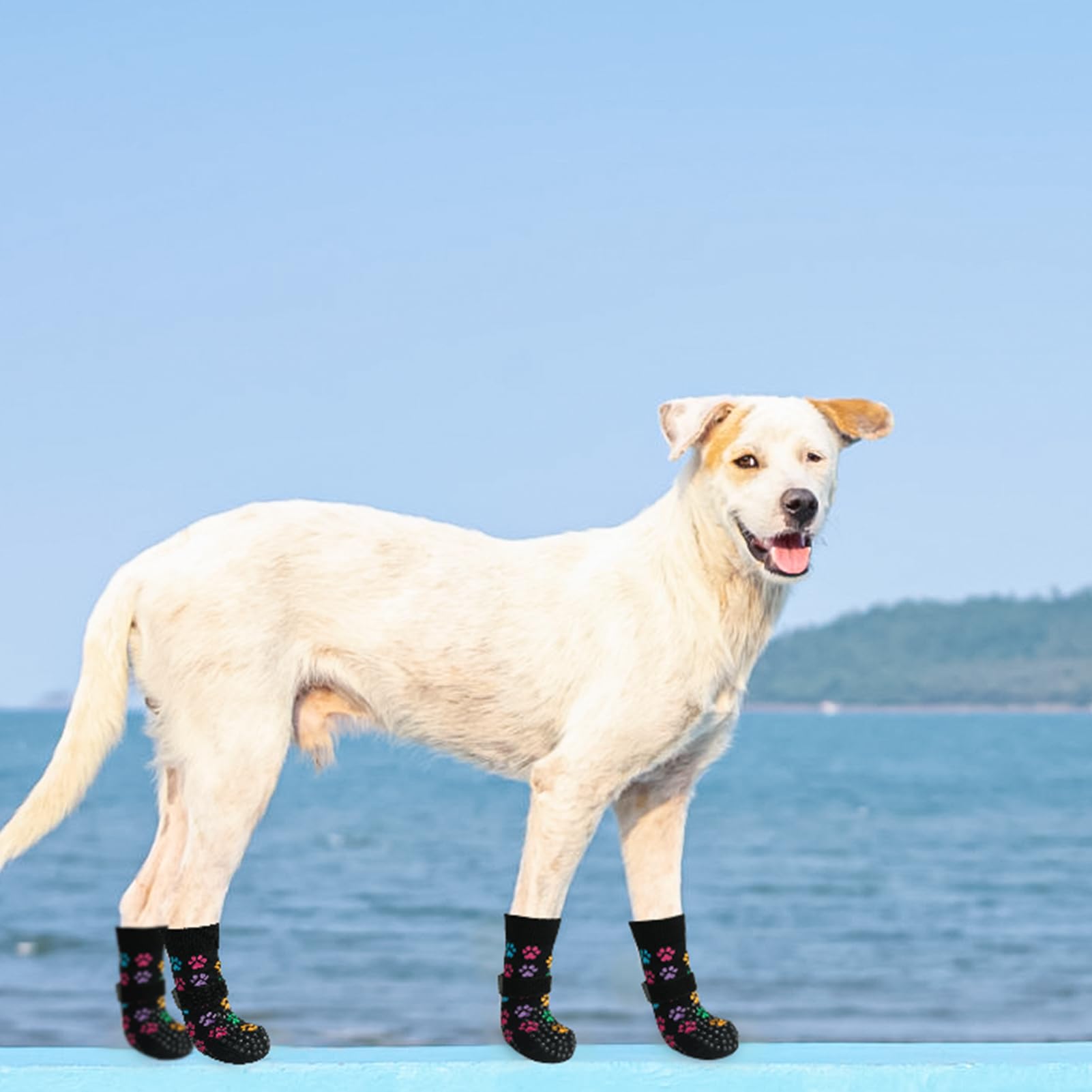 SCENEREAL Lot de 4 paires de chaussettes antidérapantes pour chiens de petite, moyenne et grande taille, protections de pattes avec pinces pour chiens âgés, chaussures pour chiens pour sols en bois