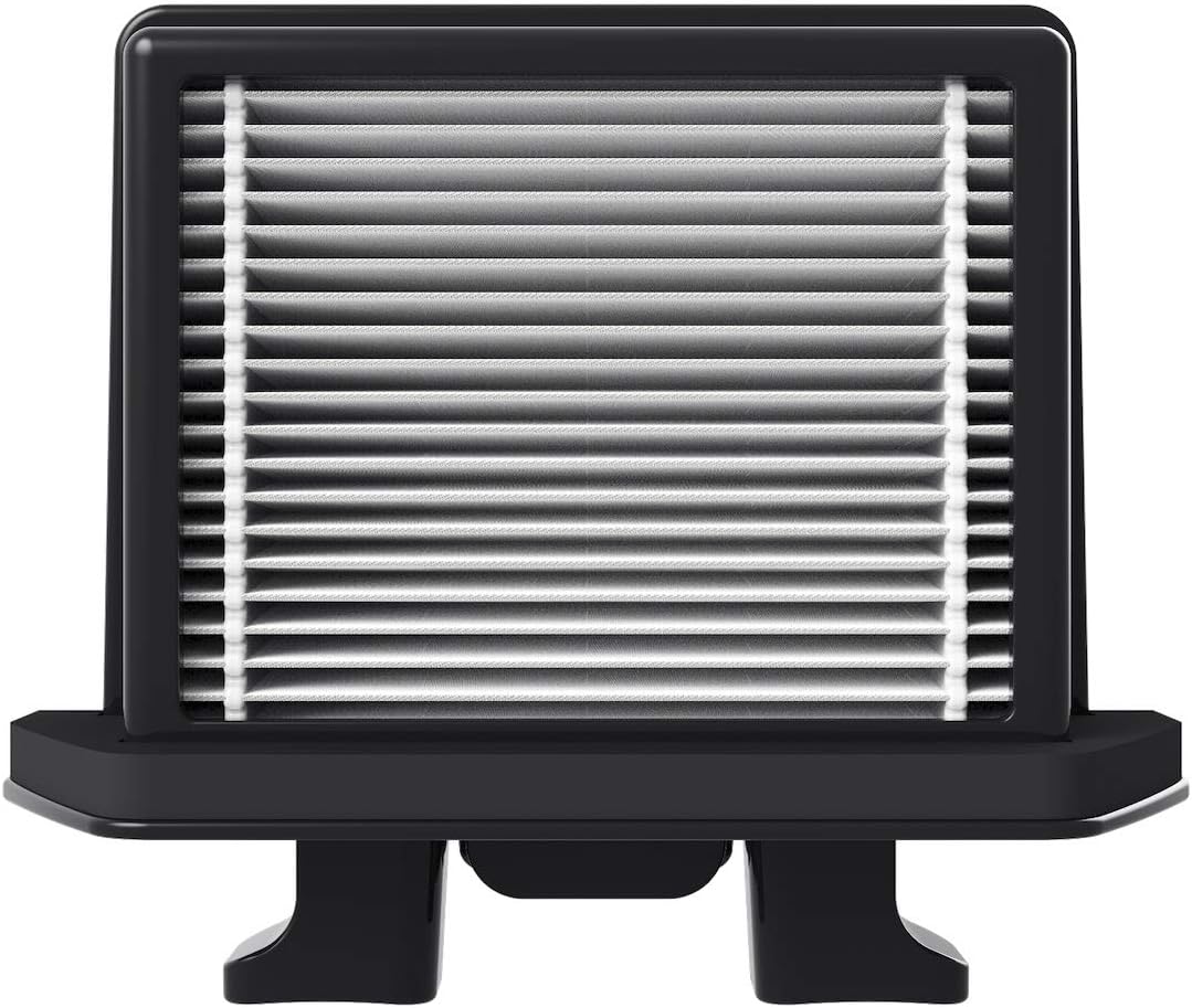 RaycopRN (VCEN-100) Replacement HEPA Filter - 2 Pack