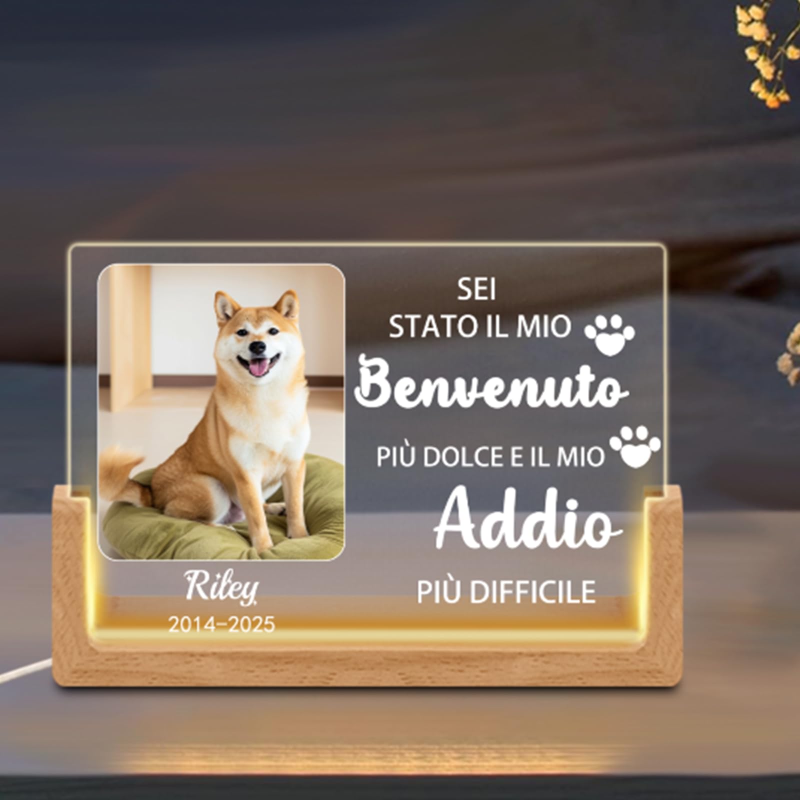 Luminaria Personalizzata per Cani,Lampada LED con Foto & Nome del Cane, Design con Cuore & Impronte, Regalo Commemorativo per la Perdita dell'Animale Domestico con Data (Style D)