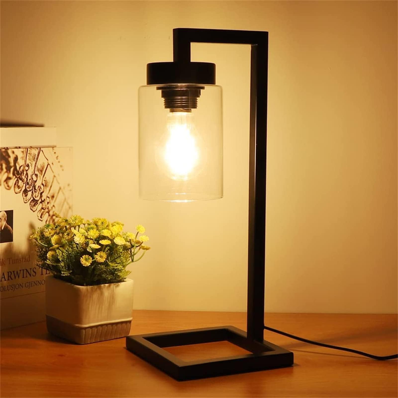 Depuley Bedside Table Lamp, Modern Desk Light with Clear Glass Lamp