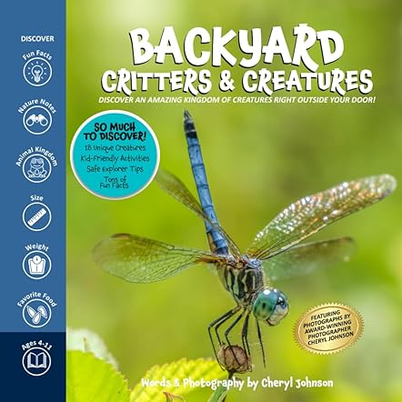 Backyard Critters and Creatures