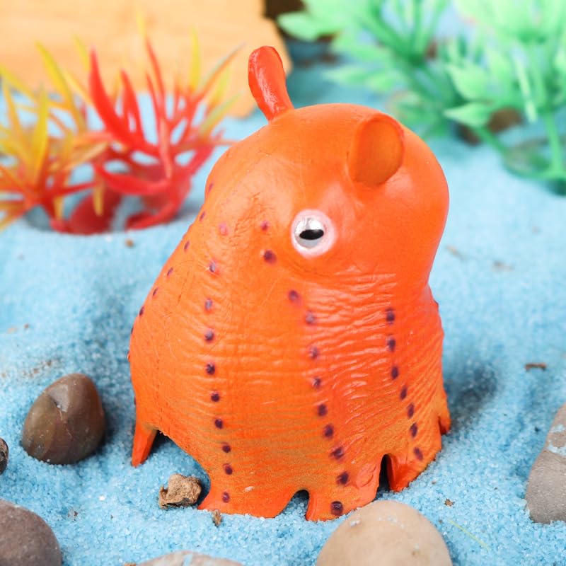 Amazon | EUHELOPA ジュウモンジダコ 頭足綱 メンダコ科 海の生き物