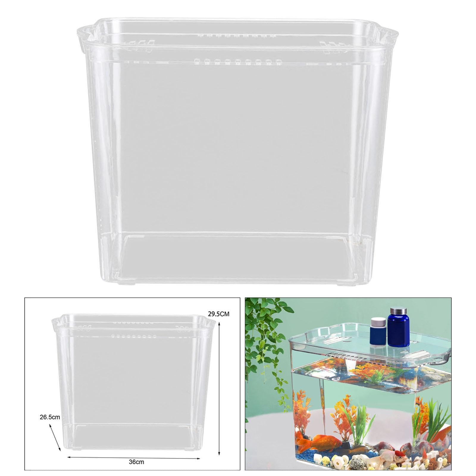 Elegantes Desktop Aquarium, geeignet für die Zucht Kleiner Fische, modernes Büro und stilvolles Dekor, mit integriertem Deckel, Fischbecken, Starterset für die Schildkrötenzucht.