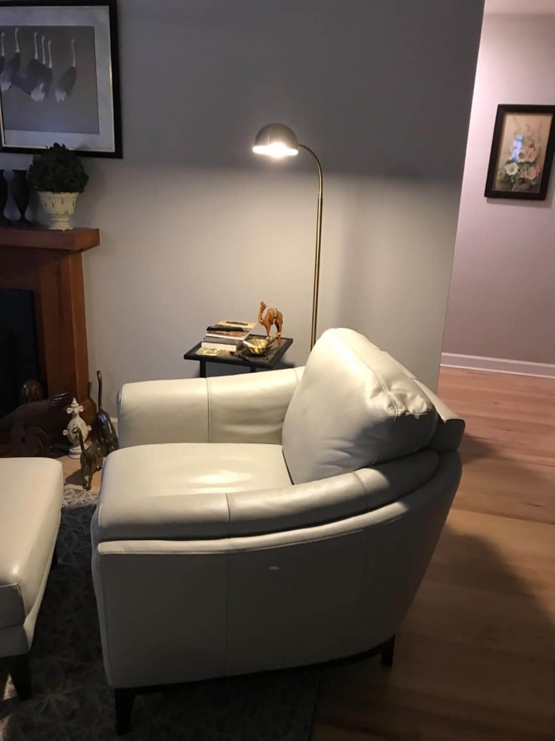 Brightech Regent LED Floor Lamp, Free Standing Corner Pole Light with Adjustable Gooseneck, Tall Bright Skinny Lamp for Office Desk, Living Room Sofa or Chair - Brass/Gold