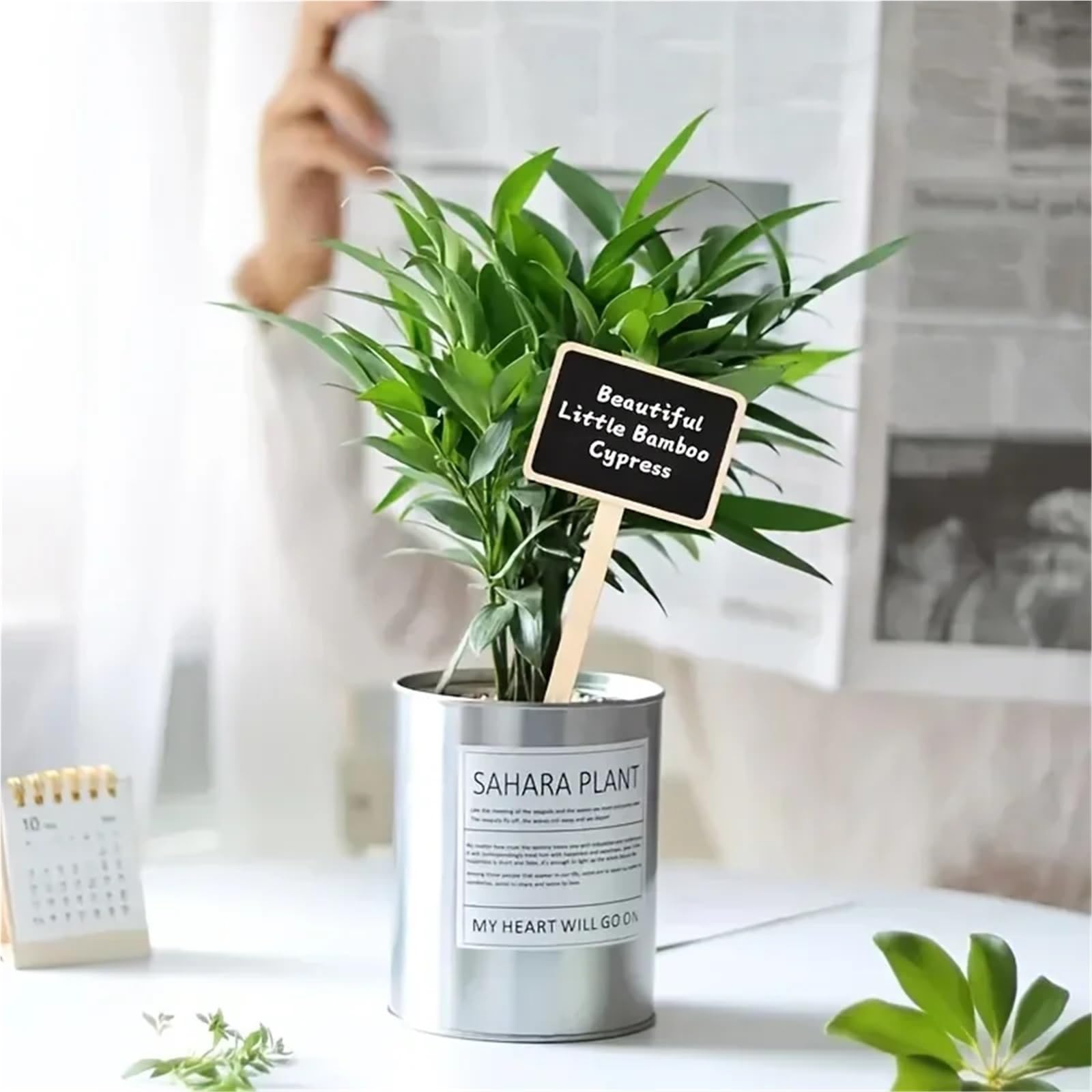 Lot de 100 étiquettes rustiques en bois pour plantes en forme de T, tableau noir, tableau à message à fixer au sol