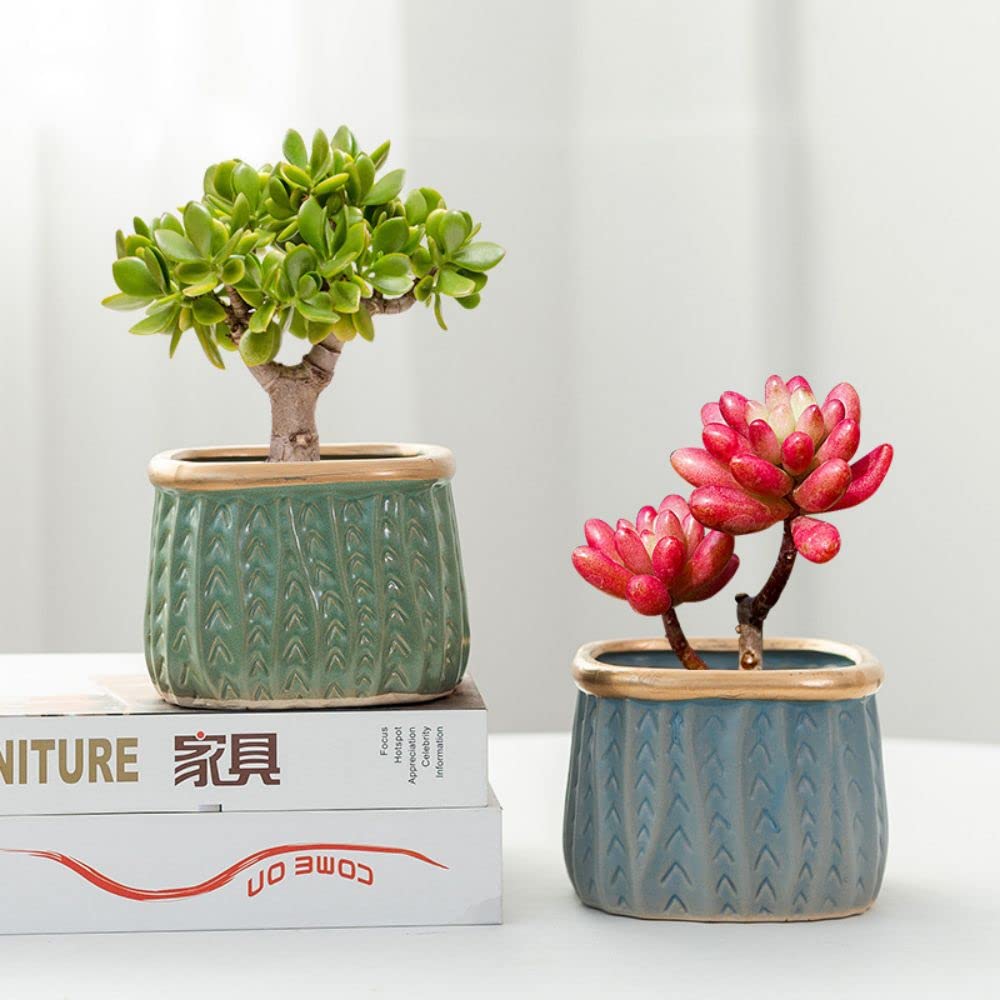 Amazon.co.jp: BAGGEN 植木鉢 4個セット 四角形 プランター 多肉 観葉