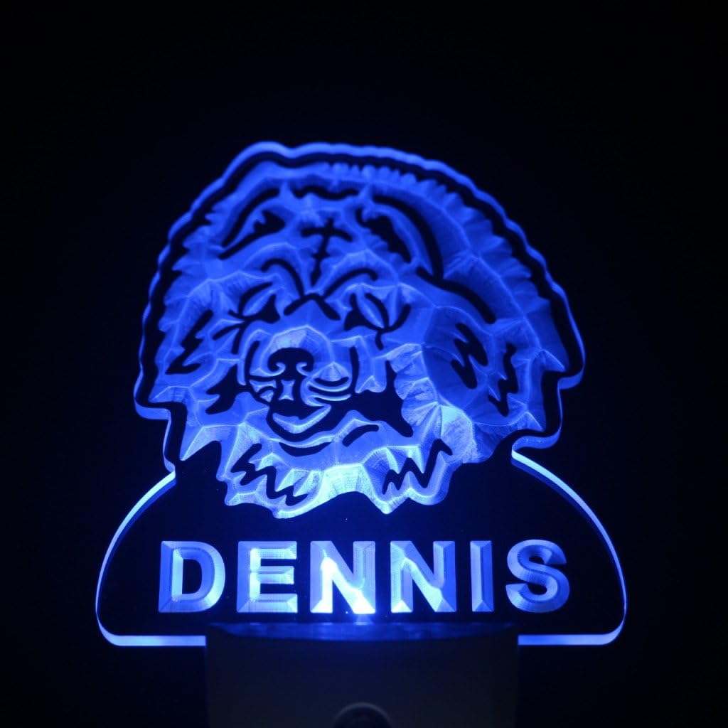 ADVPRO ws1062-tm Chow Chow Dog Personalized Night Light Name Day/Night Sensor LED Sign