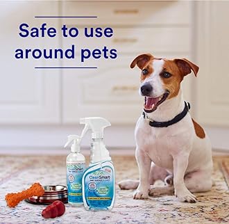 CleanSmart Daily Surface Cleaner Kills 99.9% of Germs, No Harsh Chemicals, 23oz, 2PK