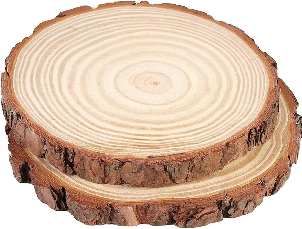 Unfinished Natural Plain Wood Coaster Slice 24 CM With Tree Bark Circle Platter Log Discs rustic 2 pack (Christmas Wedding,Country Décor Risen Art Craft Table chargers Center pieces board) Untreated