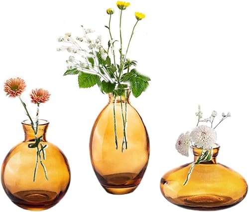 Miniatura 1 de Small Vases for Centerpieces Glass Esmiome- Amber 3pcsSet Bud Vases, Short Minimalist Vase Clear Modern Flower Vase Mini Tiny Vases Cute Handmade