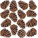 besttoyhome 15 PCS Natural Pinecones Medium Pine Cones Ornaments Real Preserved Pine Cones - Dried -3" - 4" Tall for Guest Seating Place Card Holders or Wedding Guest Favors Christmas Winter Xmas