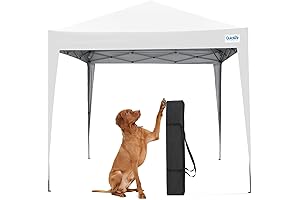 Quictent 10x10 Pop Up Canopy Tent