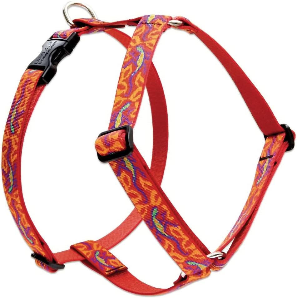 LupinePet Originals 1" Go Go Gecko 20-32" Adjustable Roman Dog Harness for Medium Dogs