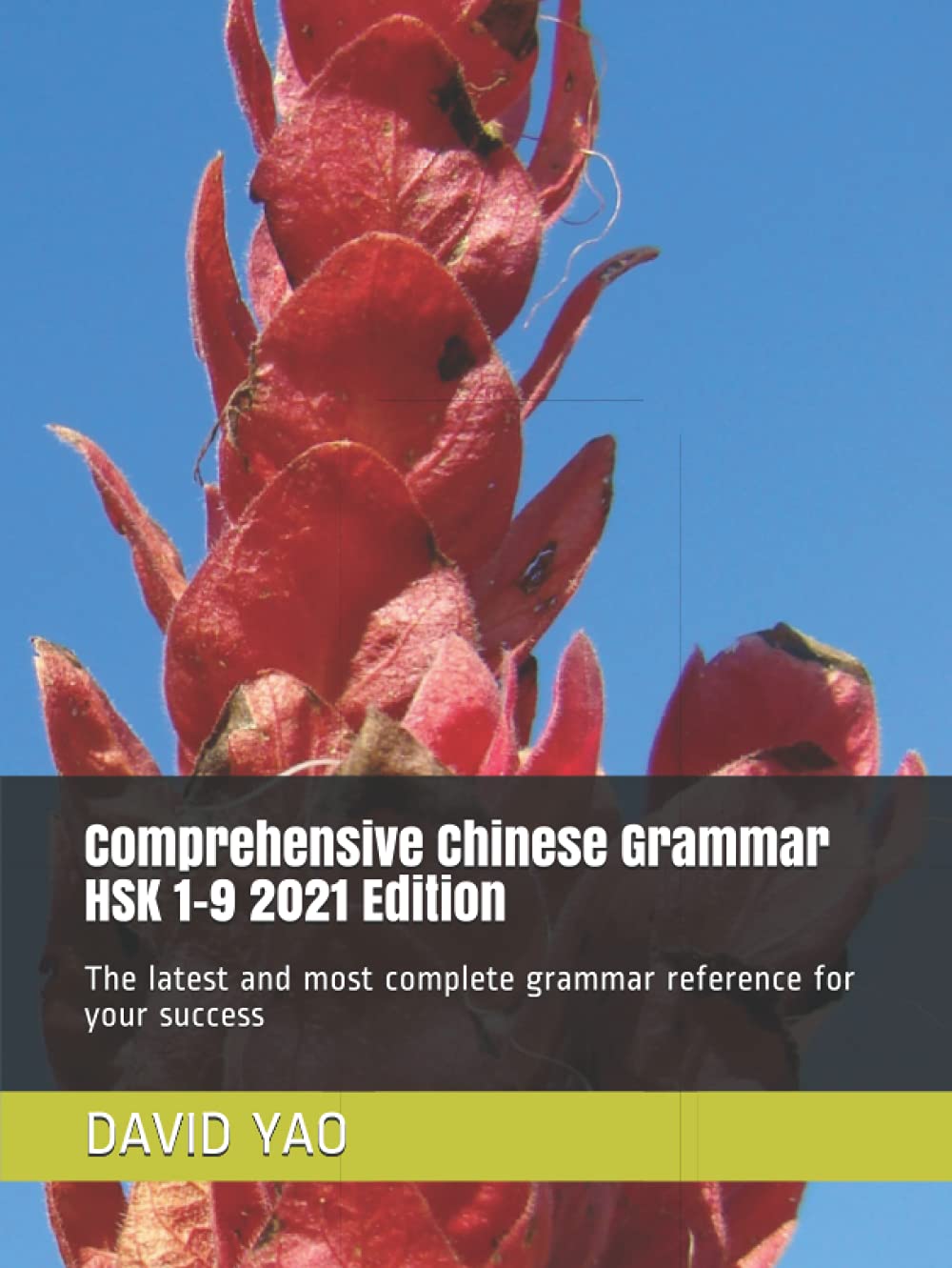 Comprehensive Chinese Grammar HSK 1-9 2021 Edition: The latest and most complete grammar reference for your success