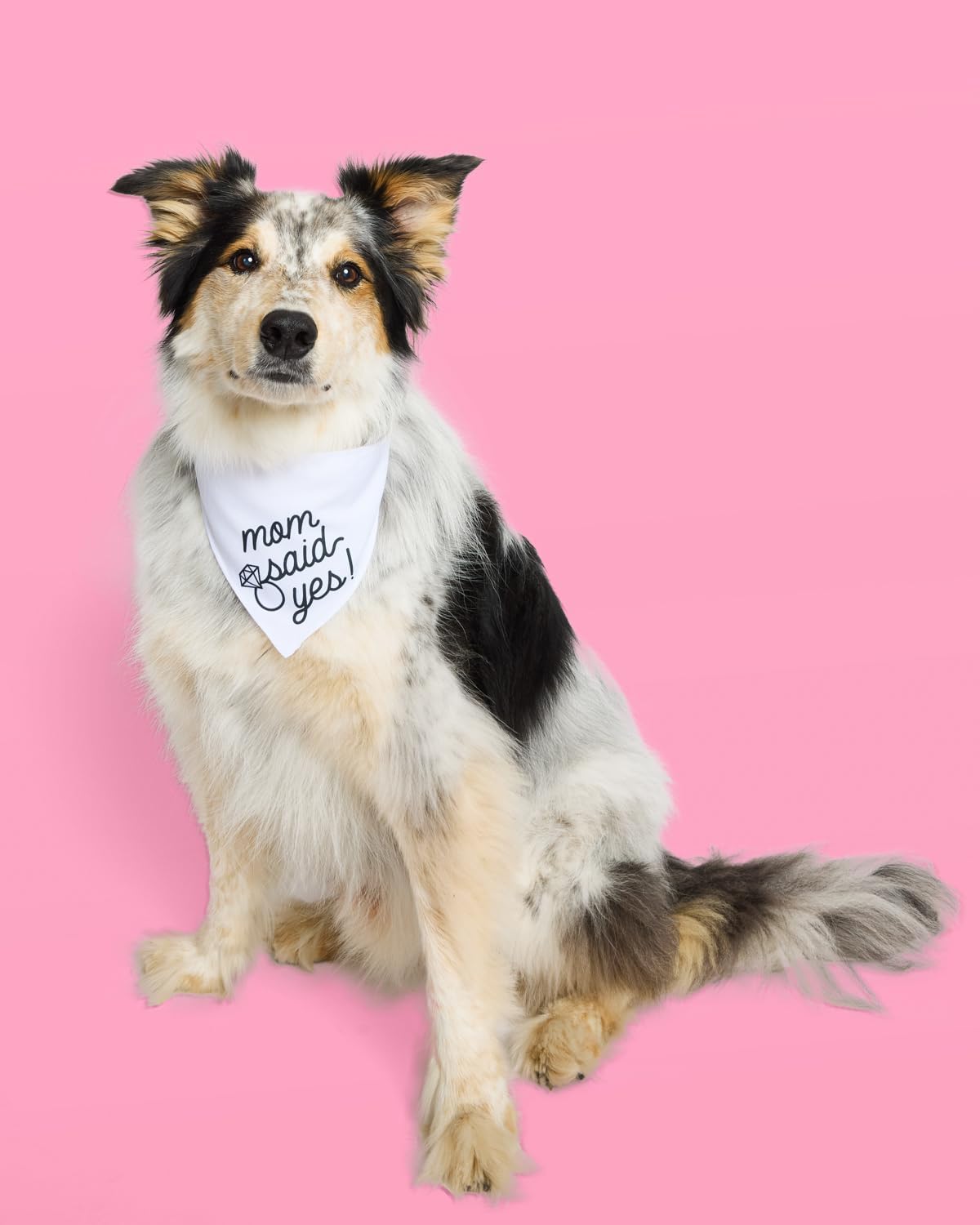 xo, Fetti Mom Said Yes Pet Bandana Engagement Gift| Bachelorette Decorations, Proposal Dog Collar, Engaged, Bridal Shower Animal Prop, Wedding Accessory