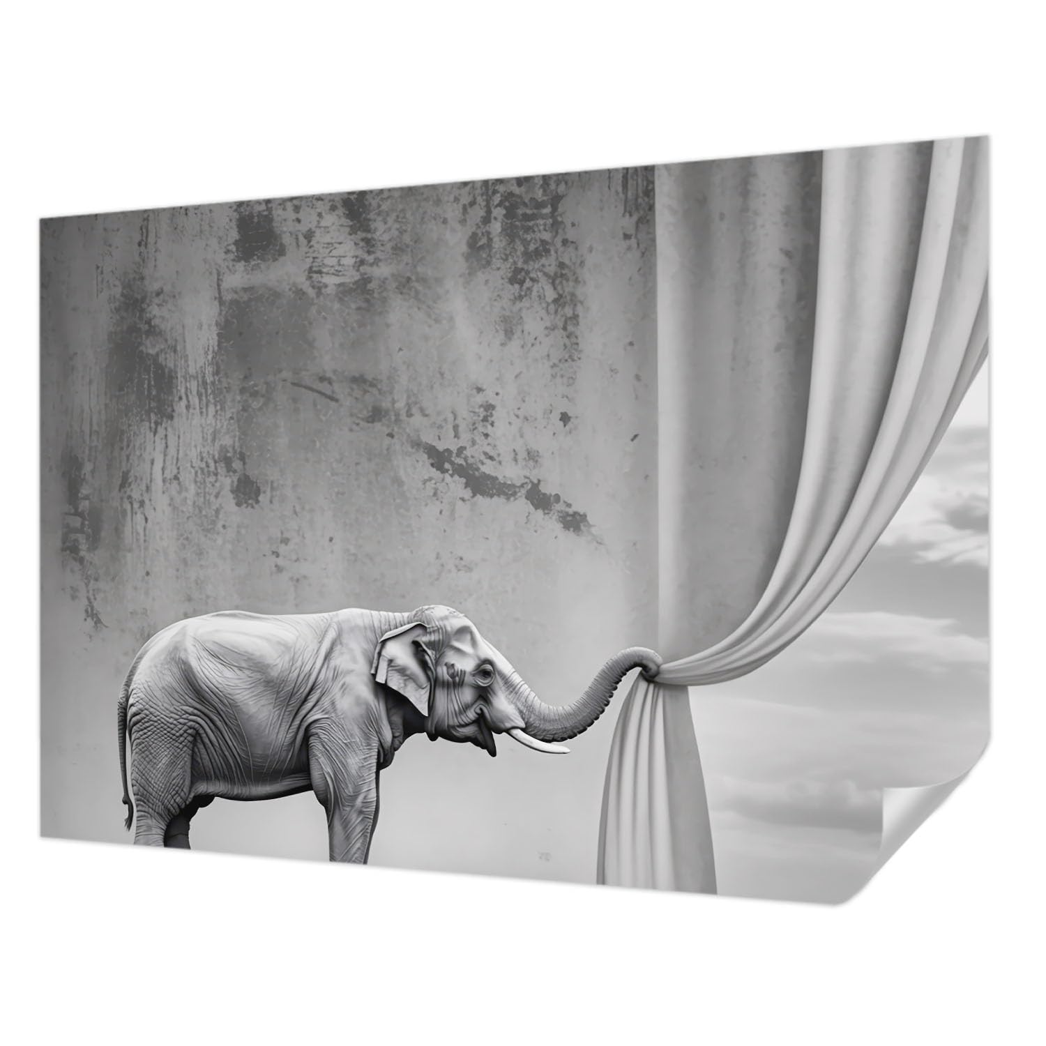 Papier peint adhésif anti-tache éléphant pour mur salon