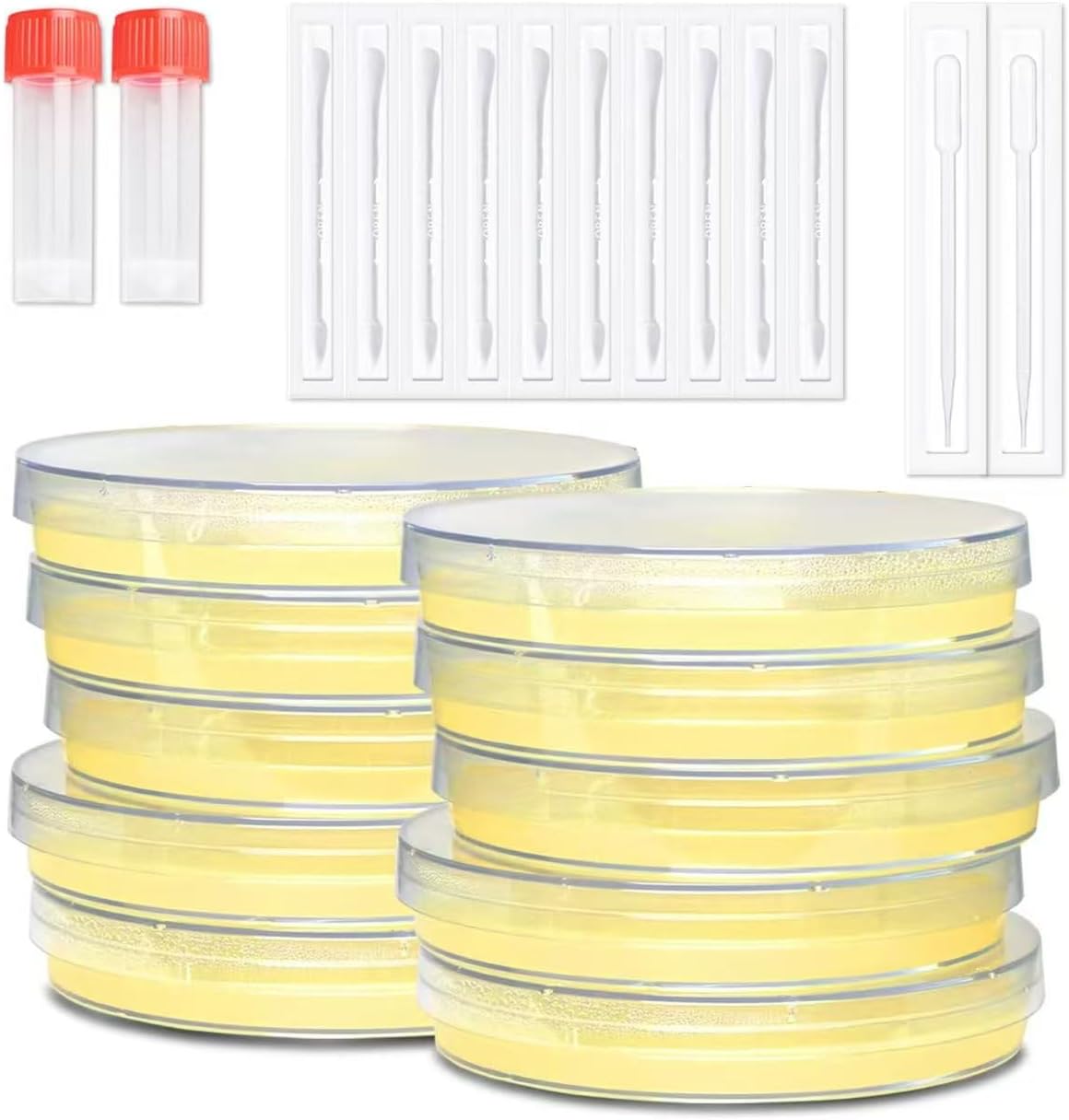 Nutrient Agar Petri Dishes Science Project Kit, 10 Pre-Poured Agar Plates and Cotton Swabs for Science Experiments, Bacteria Science Kit - Sealed Separately (Amazon Delivery)