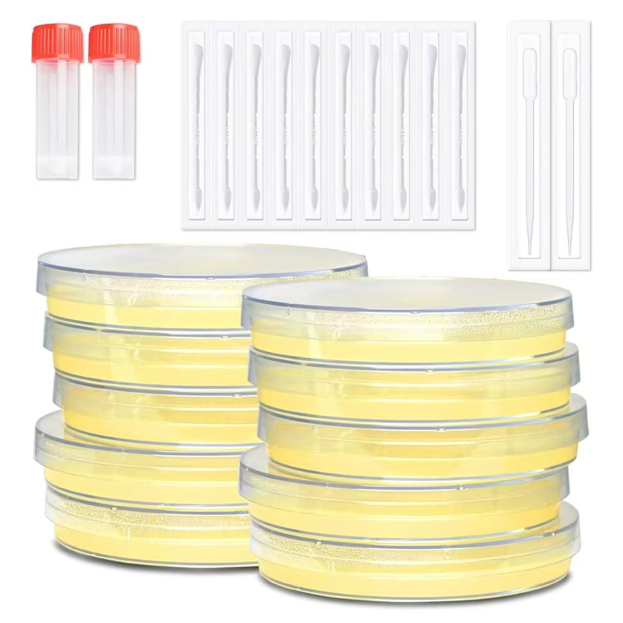 Nutrient Agar Petri Dishes Science Project Kit, 10 Pre-Poured Agar Plates and Cotton Swabs for Science Experiments, Bacteria Science Kit - Sealed Separately (Amazon Delivery)