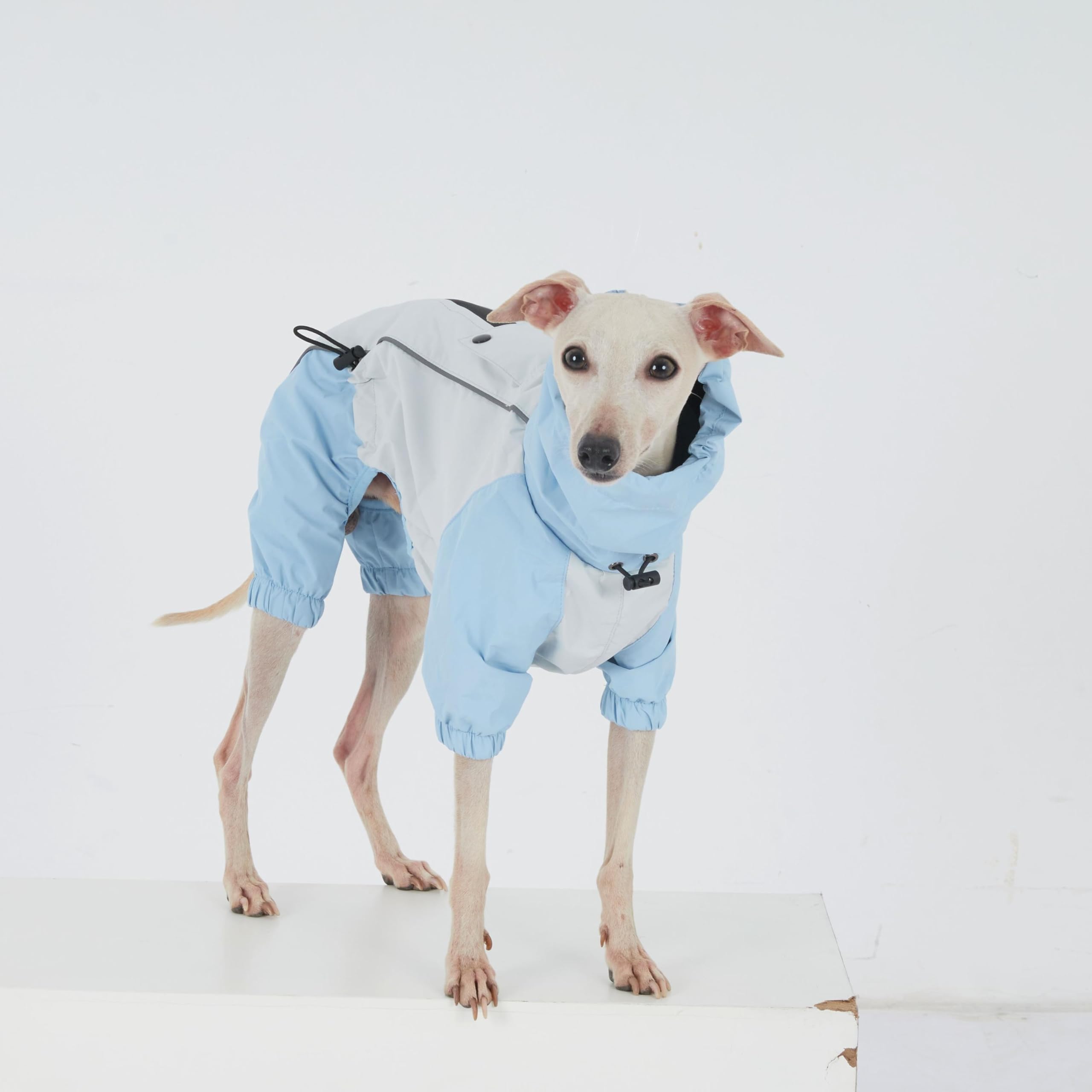 Dackel Regenmantel, wasserdichte 4-Bein Hundejacke, Leichter Outdoor Windbreaker für Mini Dackel(S(4-6kg)