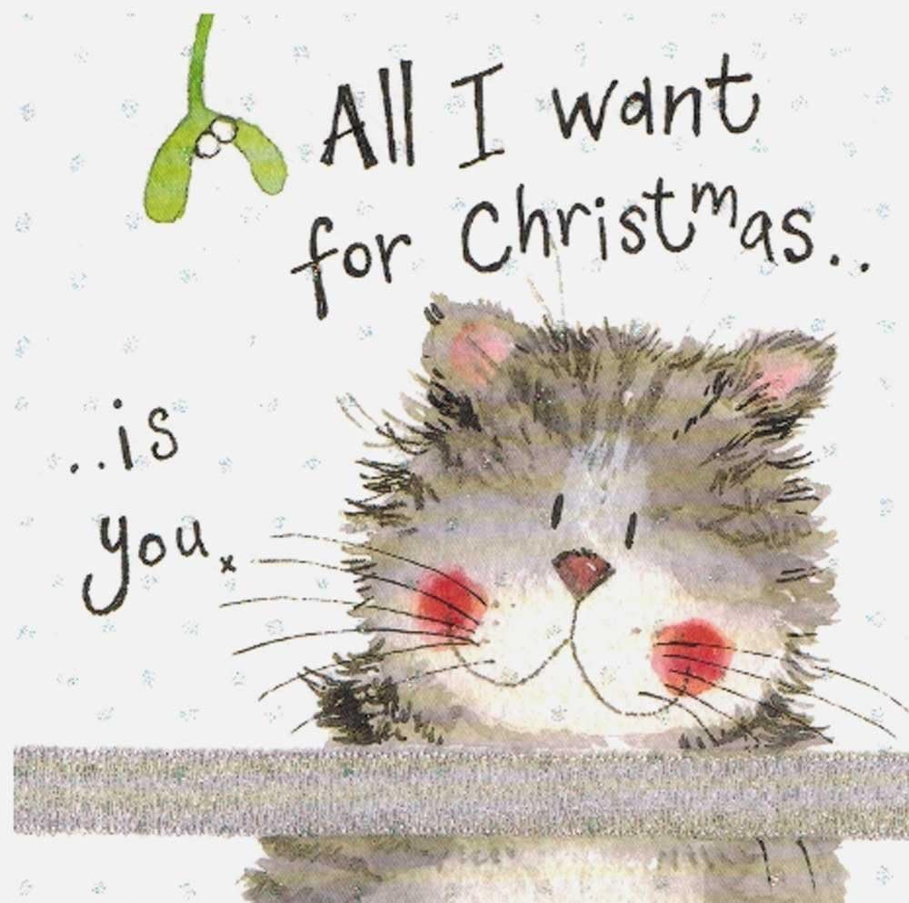 Alex Clark Art Cat and Mistletoe Christmas Cards Mistletoe Set of 10 Cards
